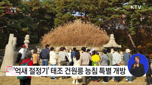 '억새 절정기' 맞은 태조 건원릉, 능침 특별 개방