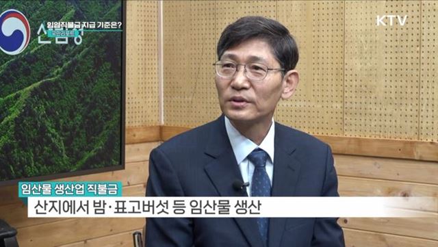 임업인 2만 8천여 명 대상 '임업직불제' 첫 시행 [정책인터뷰]