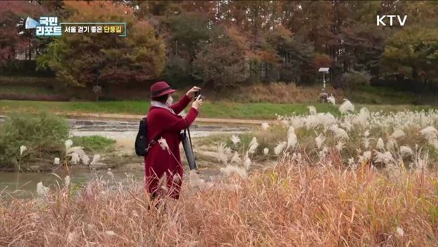 도심 속 단풍길 걸어요, '서울 단풍길 96선’