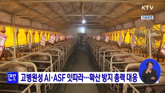 고병원성 AI·ASF 잇따라···확산 방지 총력 대응