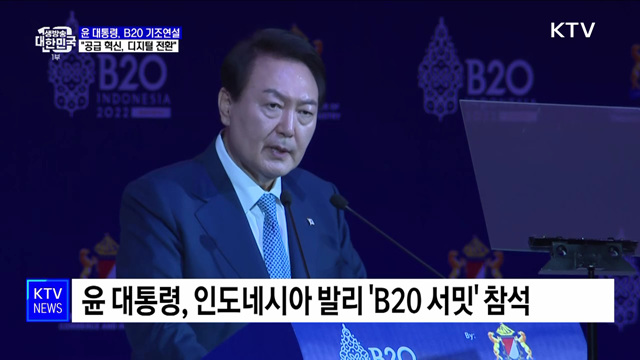 "글로벌위기 해법 디지털 전환···B20 적극 지원"