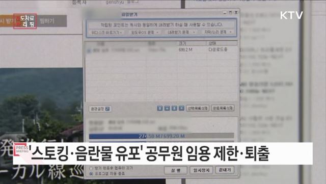 스토킹 범죄 및 음란물 유포죄, 공직 임용 제한된다