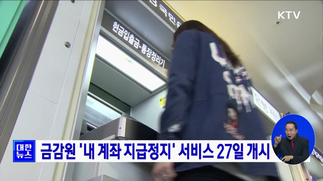 금감원 '내 계좌 지급정지' 서비스 27일 개시