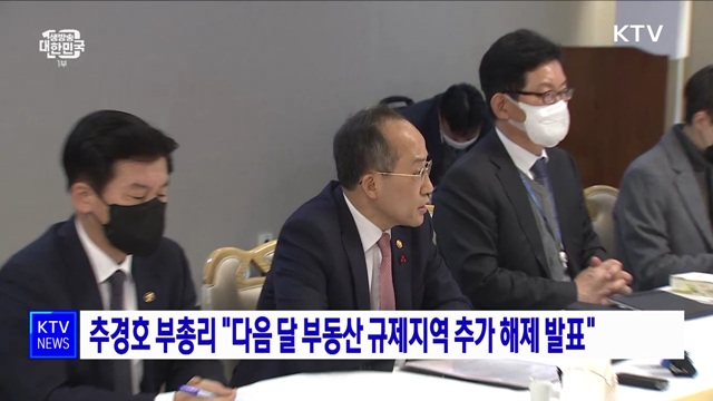 추경호 부총리 "다음 달 부동산 규제지역 추가 해제 발표"