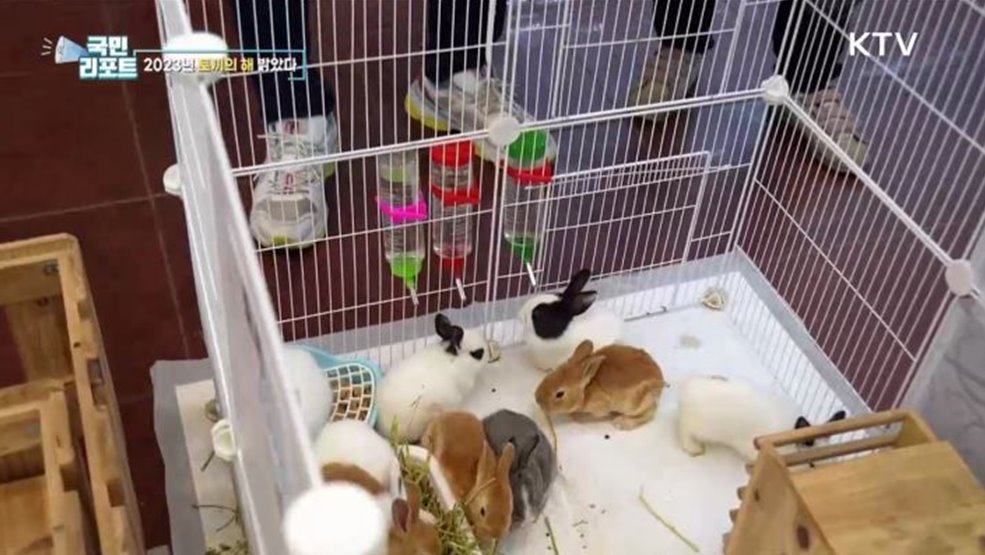 '깡충깡충' 토끼처럼, 2023 계묘년 밝았다