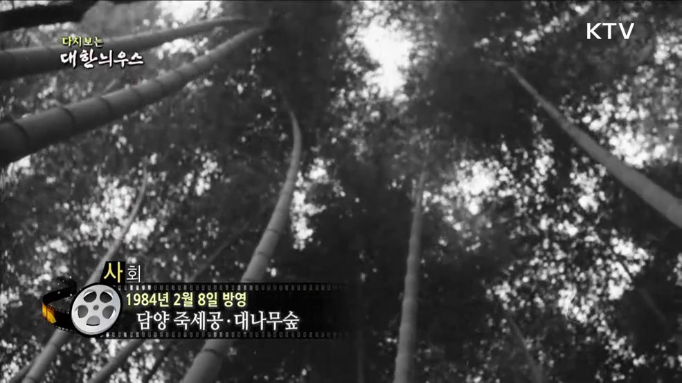 다시보는 대한늬우스 (84. 2. 8)