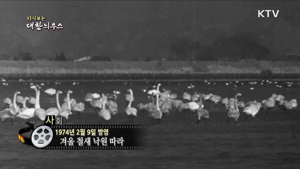 다시보는 대한늬우스 (74. 2. 9)