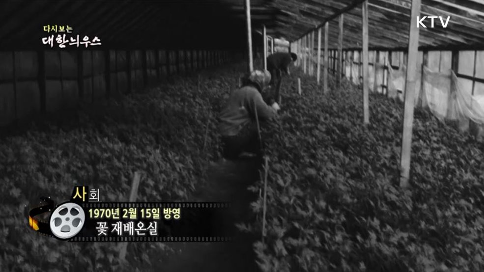 다시보는 대한늬우스 (70. 2. 15)