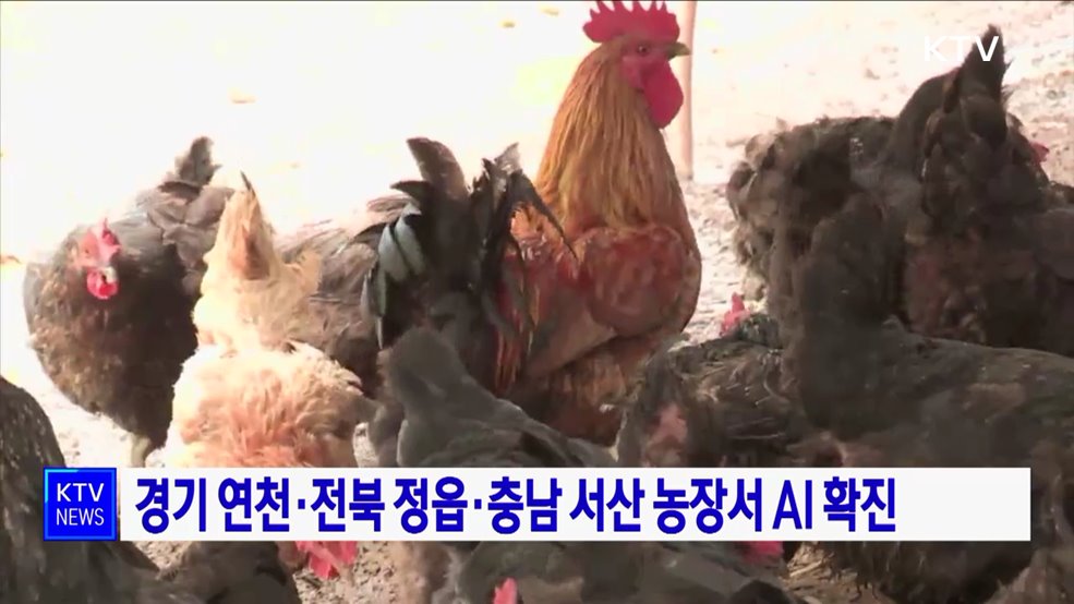 경기 연천·전북 정읍·충남 서산 농장서 AI 확진