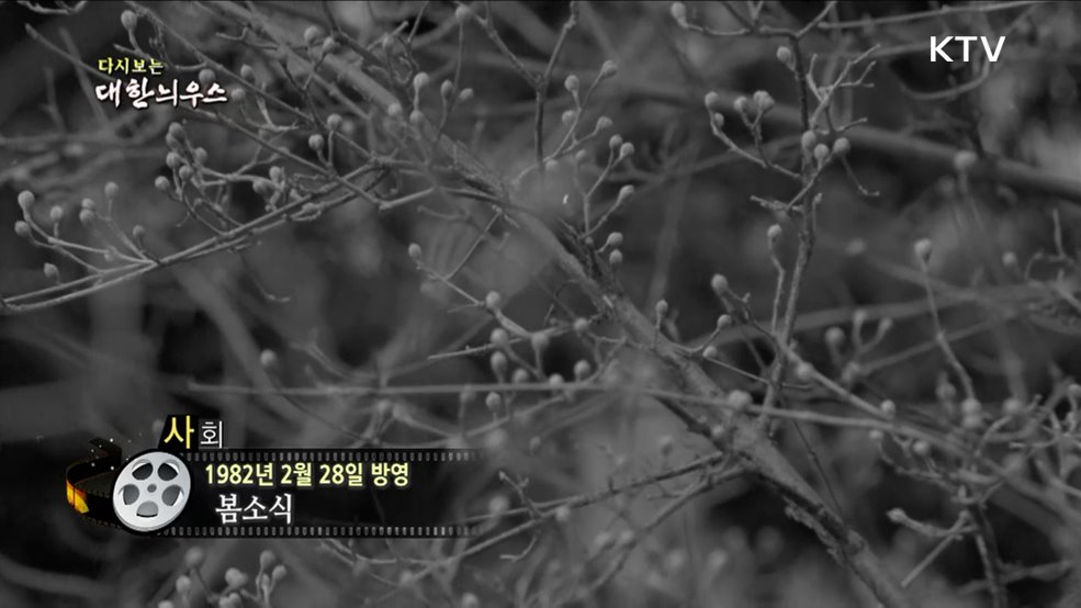 다시보는 대한늬우스 (82. 2. 28)