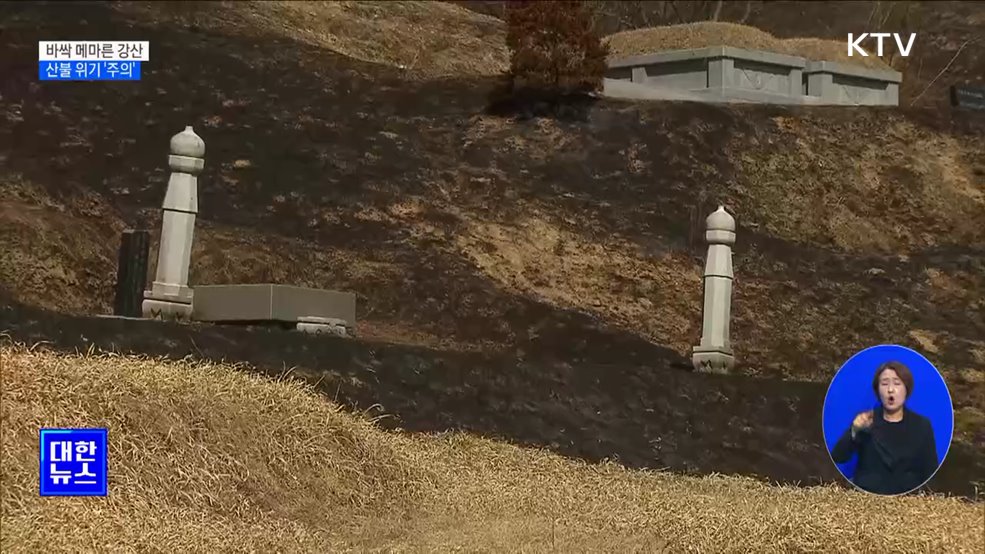 바짝 메마른 강산···산불 위기 '주의' 발령 [정책현장+]