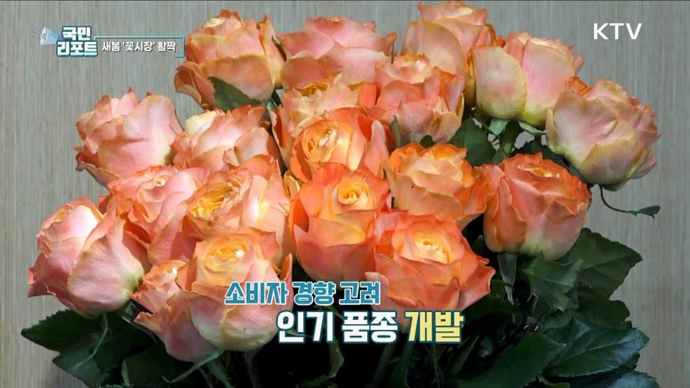 마스크 벗은 봄, 활기 되찾는 꽃시장