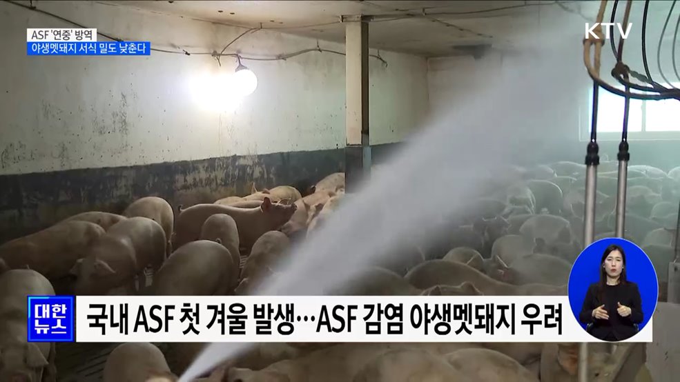 ASF '연중' 방역···야생멧돼지 서식밀도 낮춘다