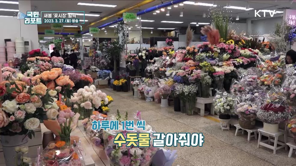 마스크 벗은 봄, 활기 되찾는 꽃시장