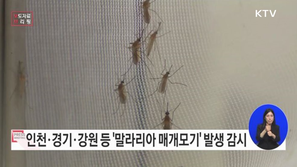 '말라리아 매개모기 발생 감시' 시작!