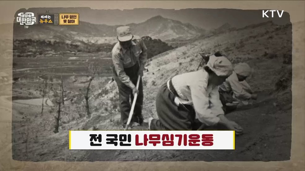 식목일 특집! 나무 없인 못 살아 정말 못 살아~ [라떼는 뉴우스]