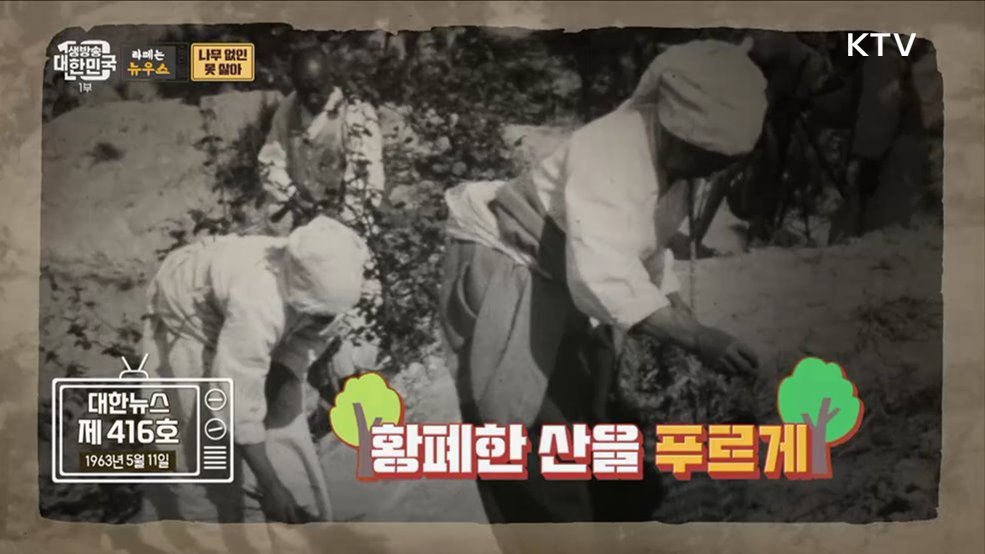 식목일 특집! 나무 없인 못 살아 정말 못 살아~ [라떼는 뉴우스]