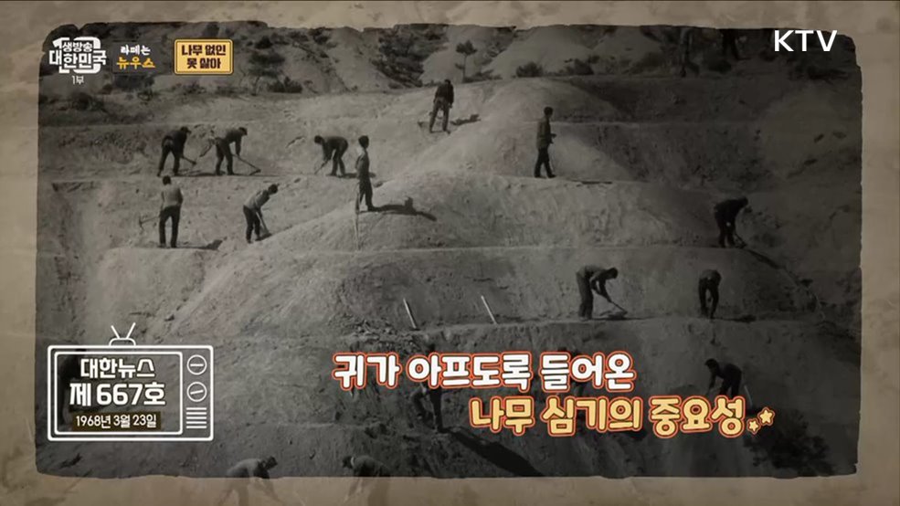 식목일 특집! 나무 없인 못 살아 정말 못 살아~ [라떼는 뉴우스]