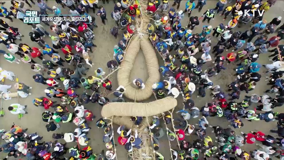 "영차, 영차" 당진 기지시 줄다리기 축제 재개