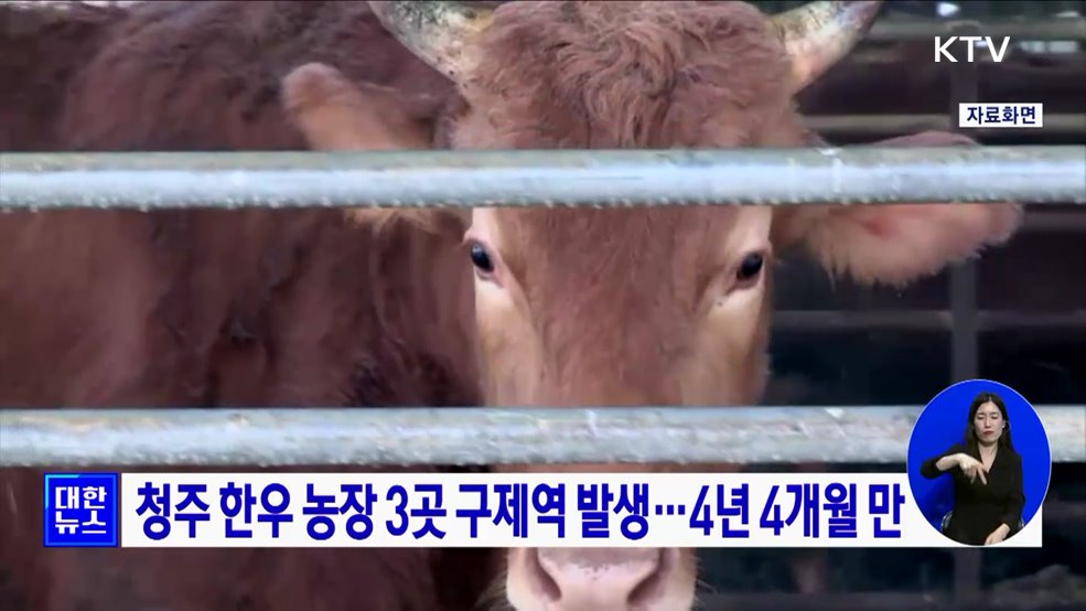 청주 한우 농장 3곳 구제역 발생···4년 4개월 만