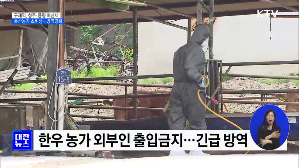 4년여 만에 덮친 구제역···전국 농장 긴장 속 '방역 속도'