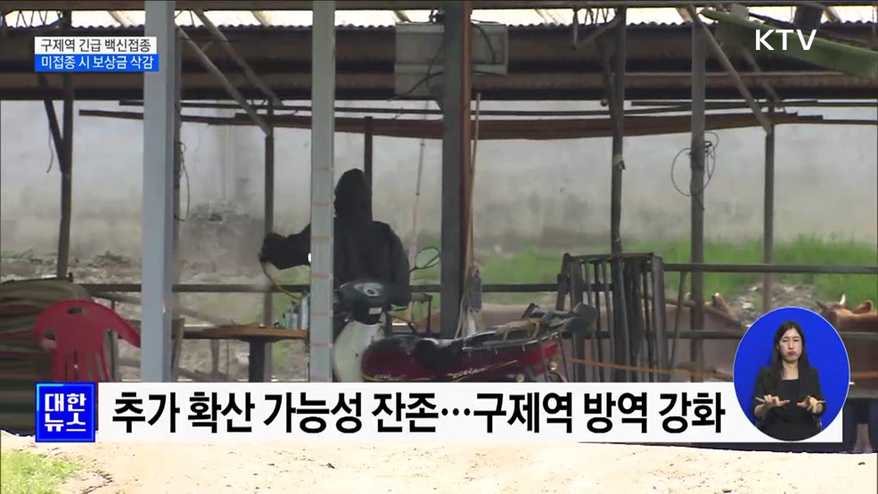 구제역 긴급 백신접종···미접종 시 보상금 삭감