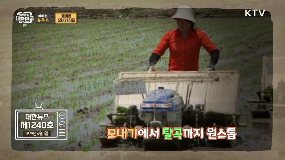 바쁘다 바빠 농촌사회! 돌아온 모내기 시즌 [라떼는 뉴우스]