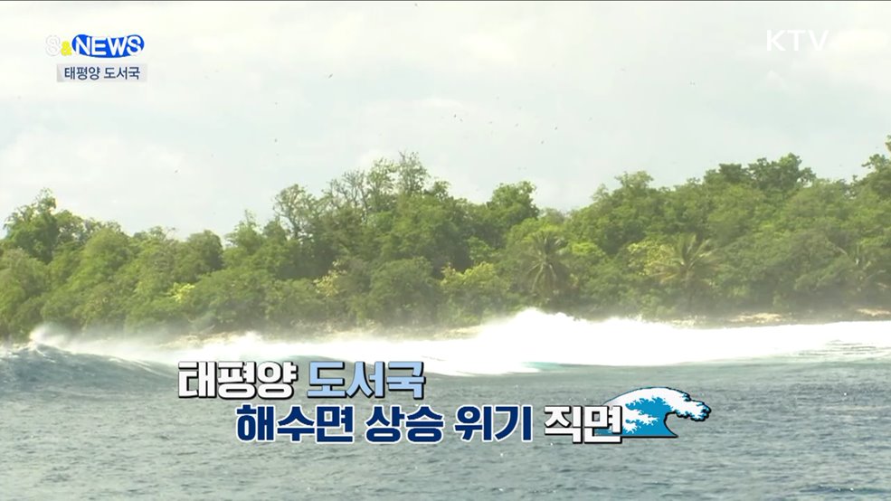 "가라앉고 있어요"···한국이 도와줄 수 있는 것은? [S&News]