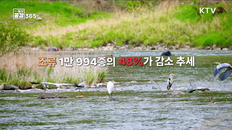 우리가 누리고 있는 생태계서비스 [일상공감365]