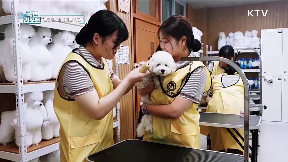 반려견 함께 공부해요, '펫고등학교' 인기