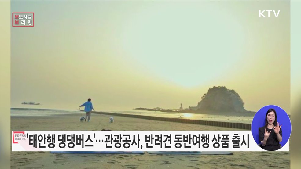 댕댕아, 버스 타자! 태안으로 가는 댕댕버스 출발