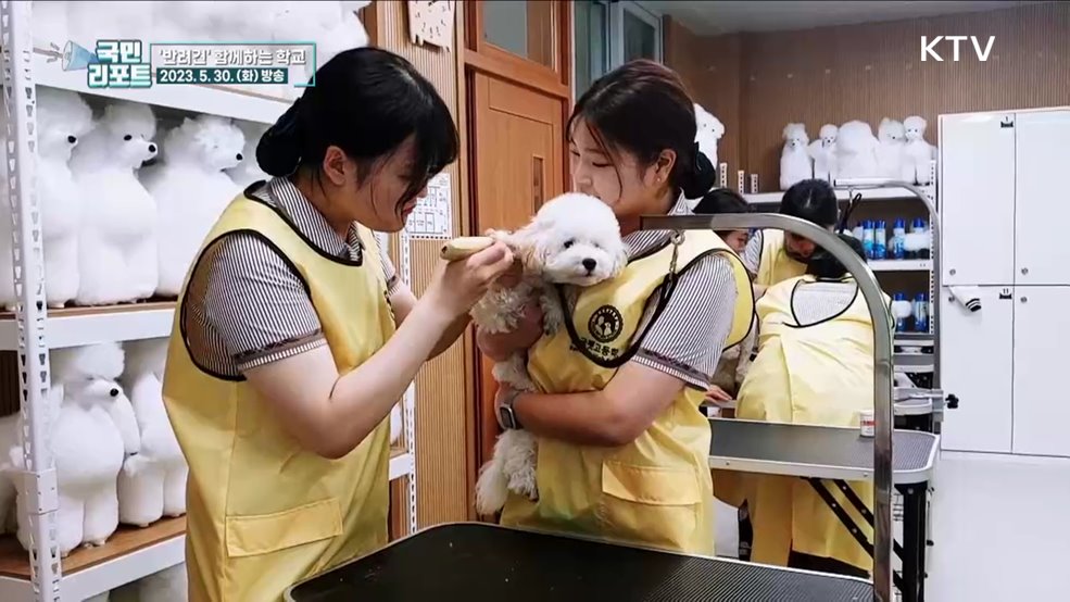 반려견 함께 공부해요, '펫고등학교' 인기