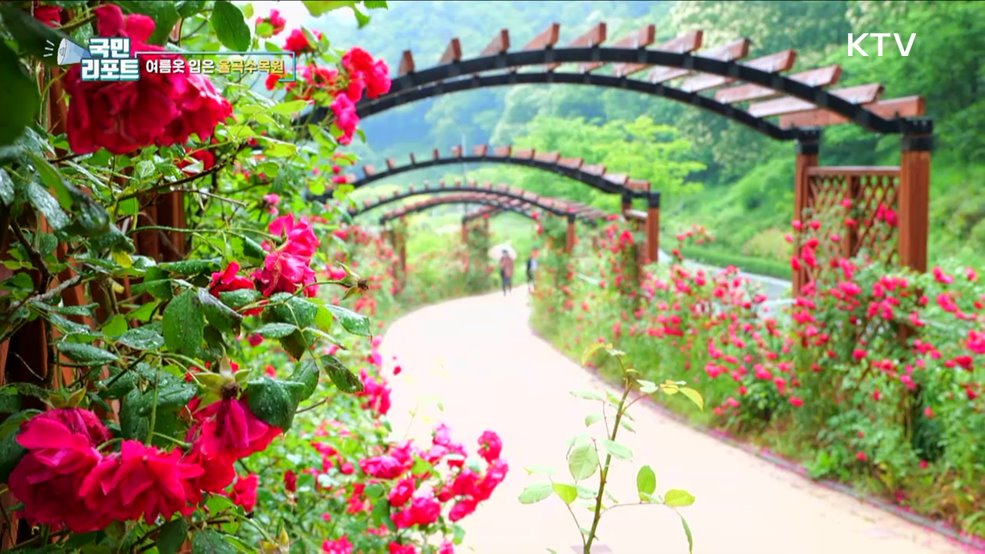 여름옷 입은 율곡수목원 [한국의 美]