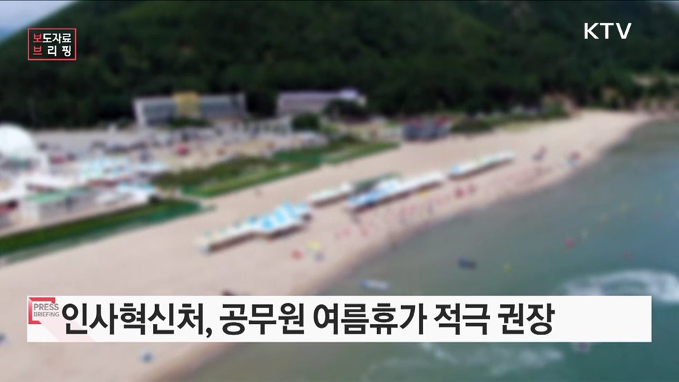 "가족·친구와 국내여행 가세요" 여름휴가 권장