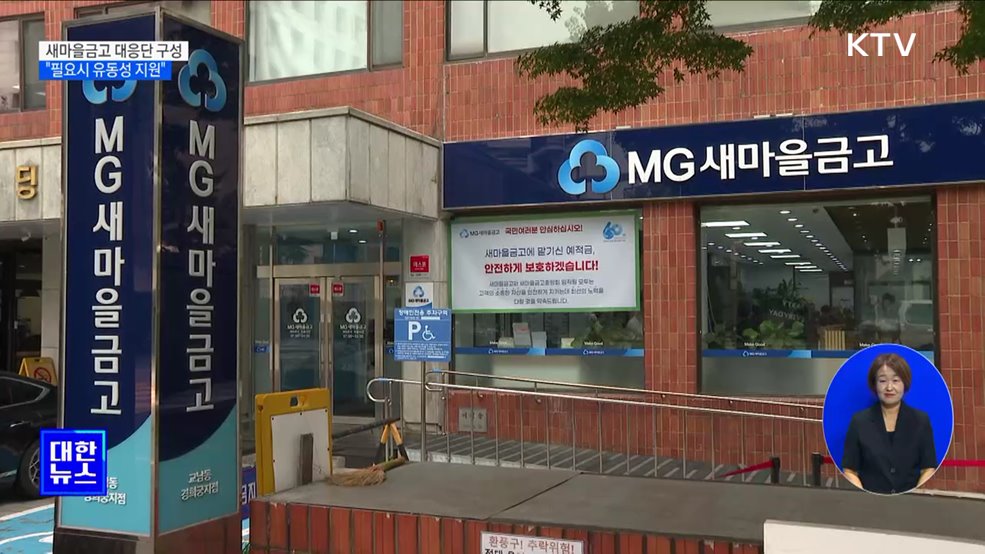 새마을금고 범정부 대응단 구성···"필요시 유동성 지원"