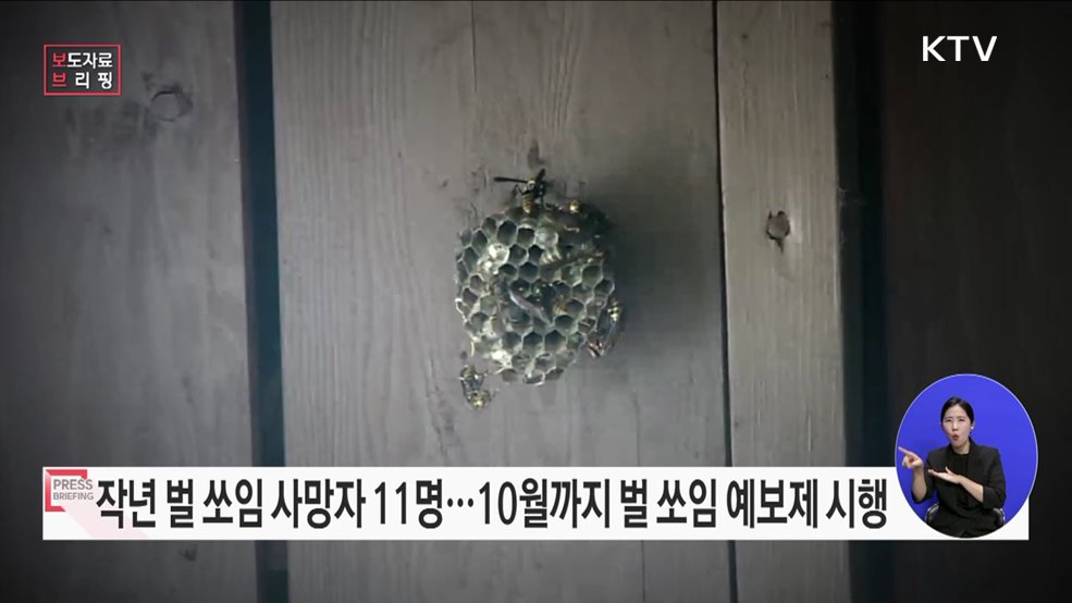 "올여름 벌들의 공습이 예상됩니다." 벌 쏘임 사고 예보제 시행