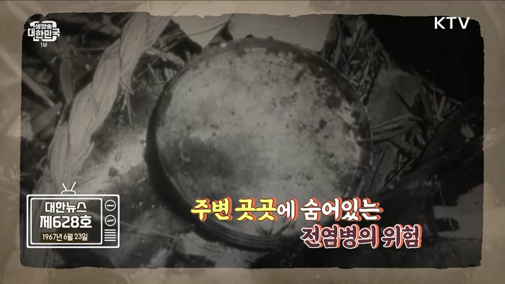 건강한 여름나기! 여름불청객 주의보 [라떼는 뉴우스]