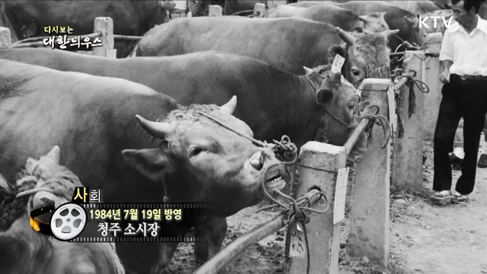 다시보는 대한늬우스 (84. 7. 19)