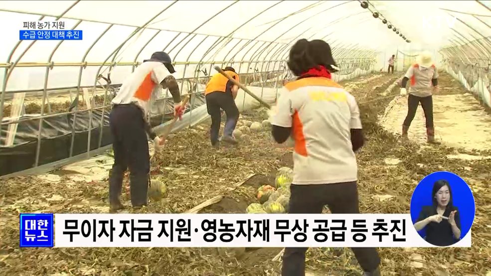 농산물 '직격탄'···피해 농가 지원·수급 안정 대책 추진