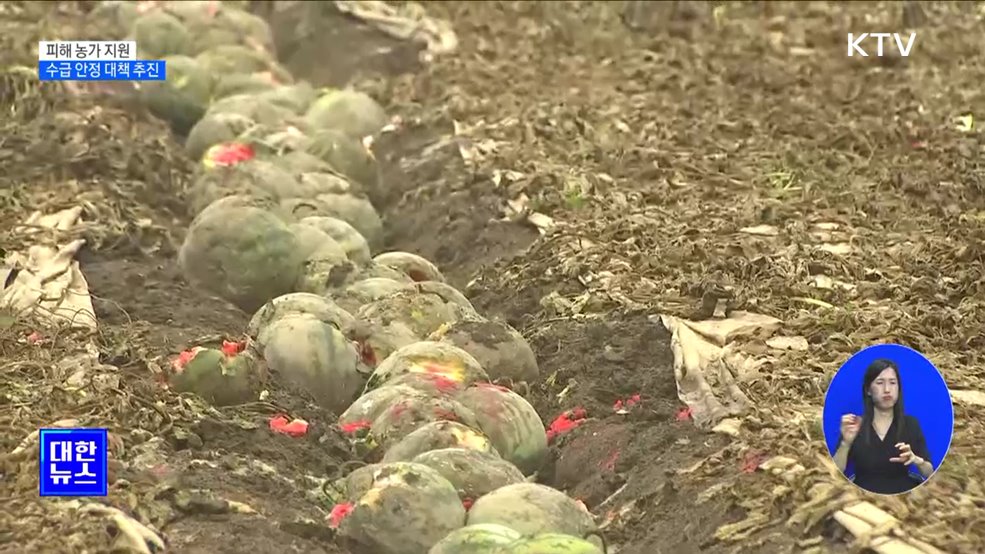 농산물 '직격탄'···피해 농가 지원·수급 안정 대책 추진