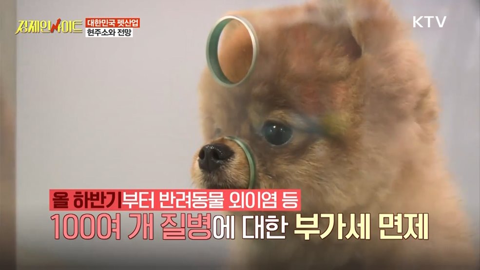 생방송 경제 인사이트 (34회)