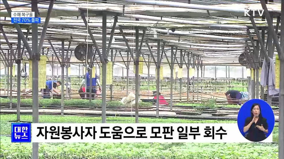 수해 복구율 70% 돌파···"다시 한번 힘 내야죠"