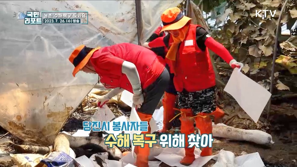농촌 힘내세요, 수해 현장 찾은 자원봉사들
