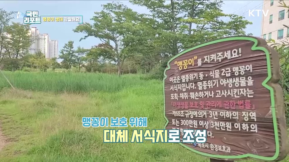 멸종위기종 '맹꽁이 생태 관찰' 참여 인기