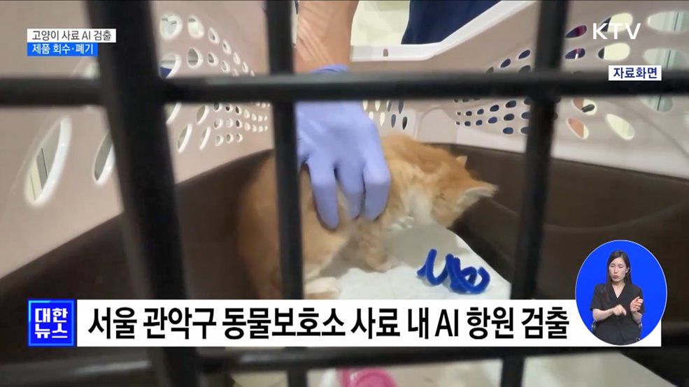 고양이 사료서 AI 항원 검출···제품 회수·폐기