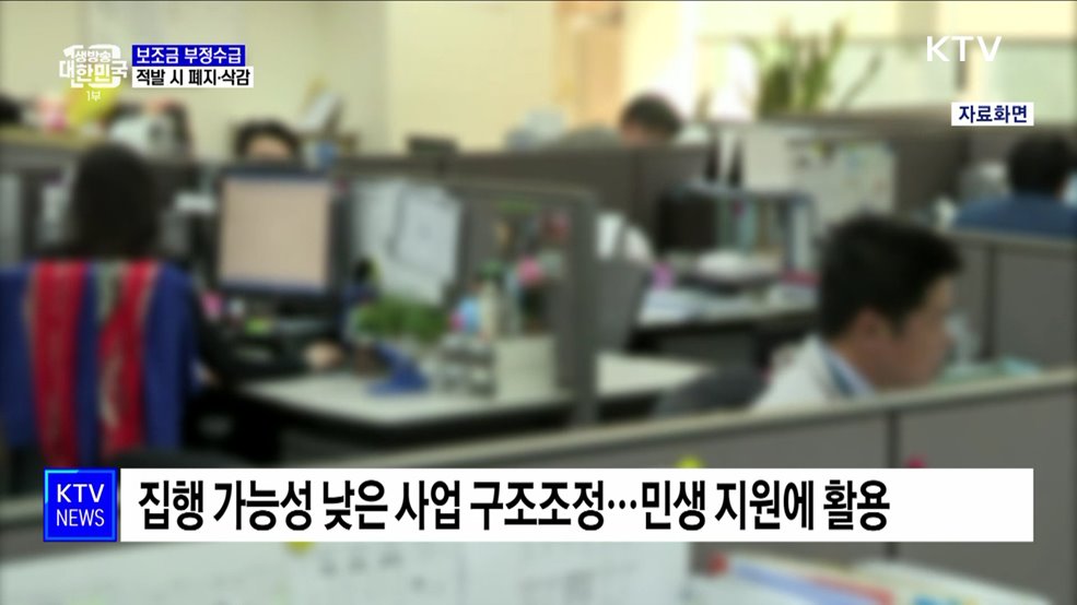 '부정수급' 지방보조금 폐지···신고포상제 확대