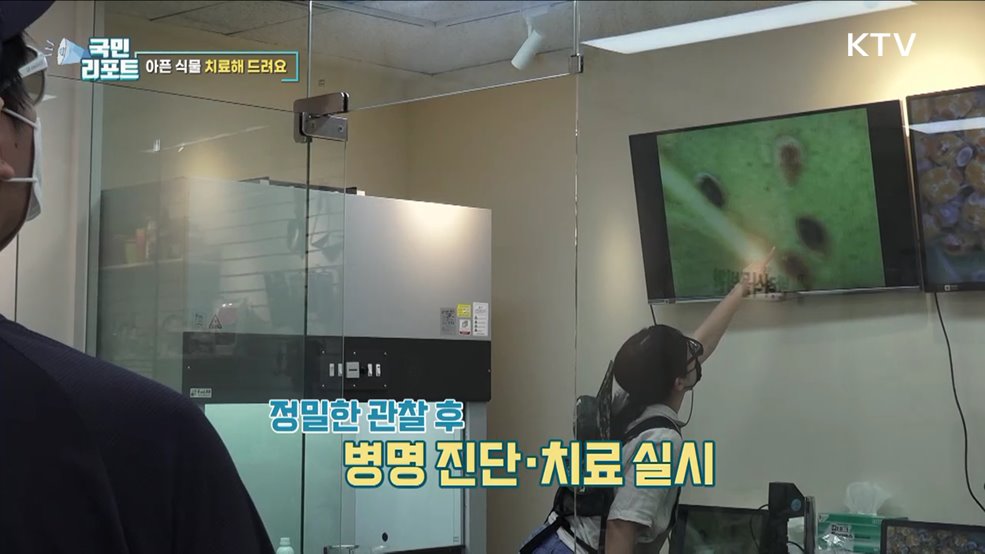 식물 치료 입원실 갖춘 '반려식물병원' 오세요