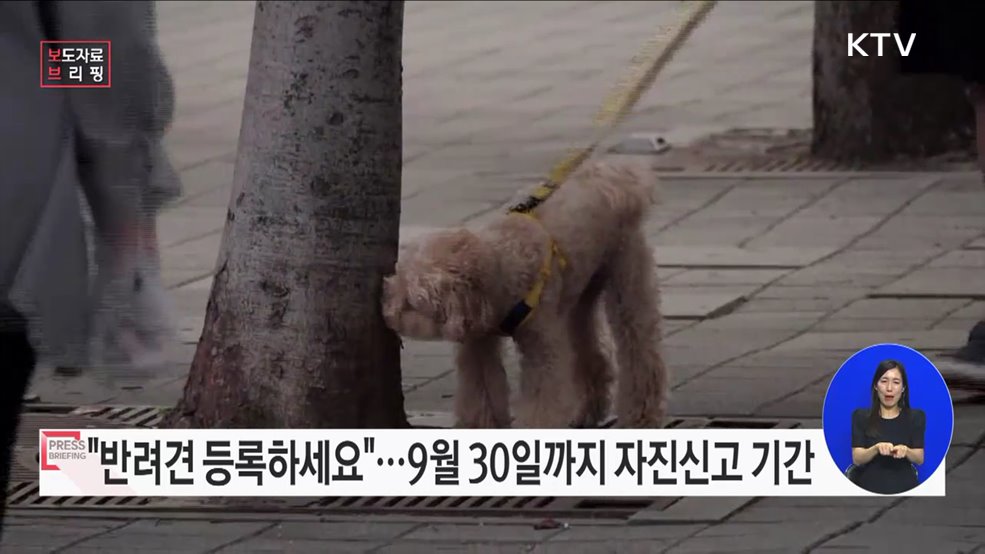 반려견 등록, 선택이 아닌 필수입니다