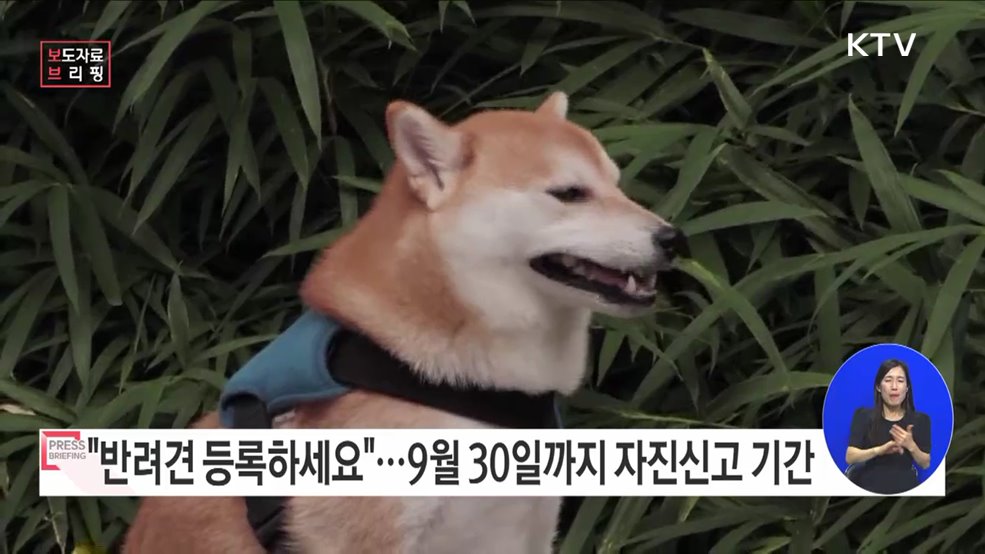 반려견 등록, 선택이 아닌 필수입니다