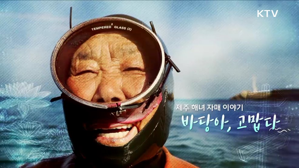 리얼다큐 나의 길